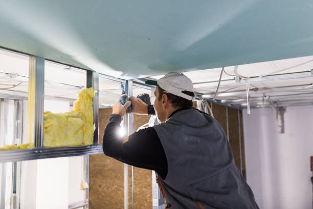 Best Spray Foam Insulation in Pleasant Hill, MS