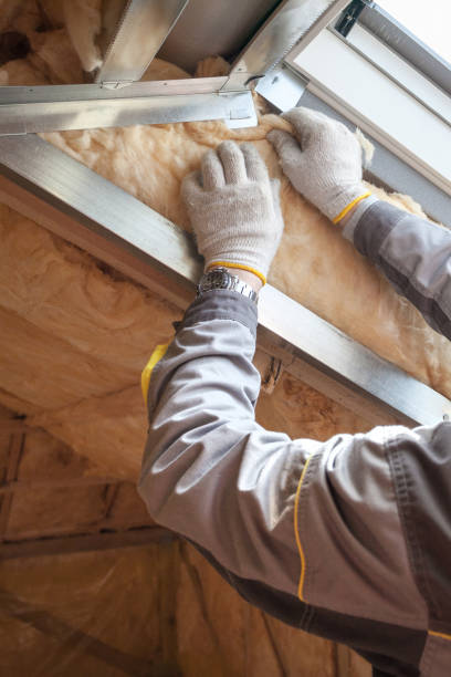 Best Cellulose Insulation in Pleasant Hill, MS