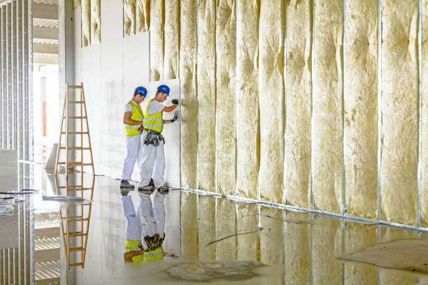 Best DIY Insulation Kits and Guidance in Pleasant Hill, MS
